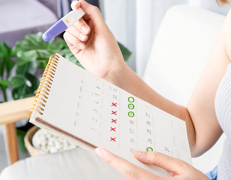 Specijalna ginekološka bolnica MediGroup Jevremova