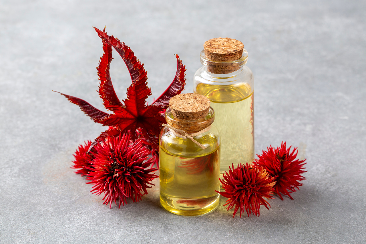 ricinus