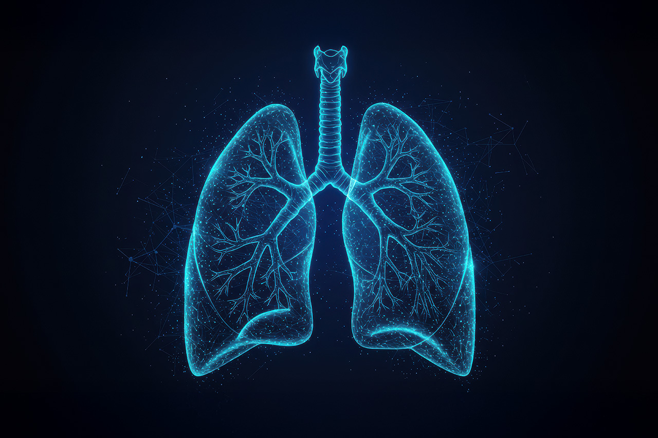 pluća