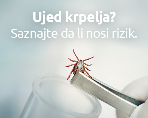 PCR analiza krpelja na bakteriju uzročnika lajmske bolesti | MediGroup
