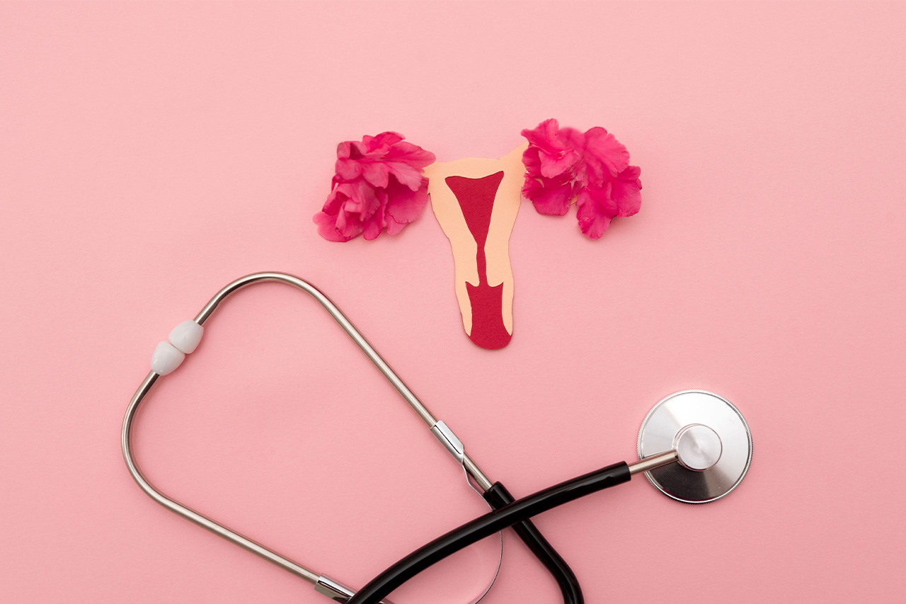 Ciklus nije samo menstruacija - folikularna faza, ovulacija | MediGroup